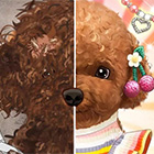 Mistrzyni Makijażu Zwierzaków